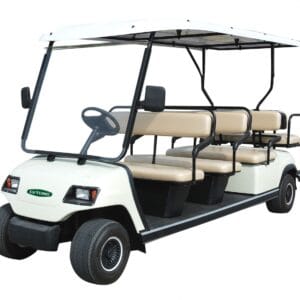 A8+3 golf cart